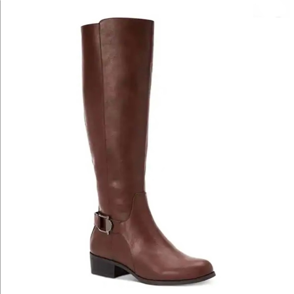 ALFANI Boots